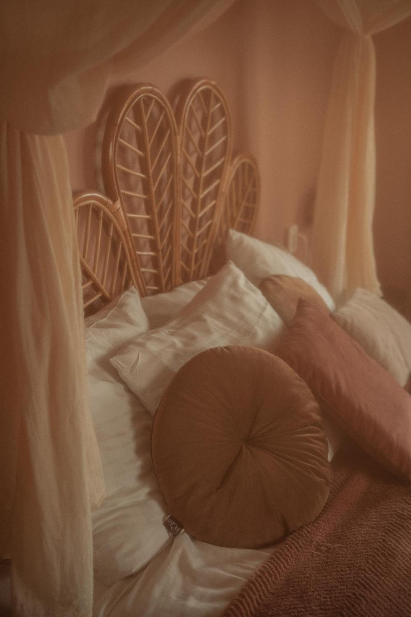Maison Bellefleur B&B - Pension レーネスセ エクステリア 写真