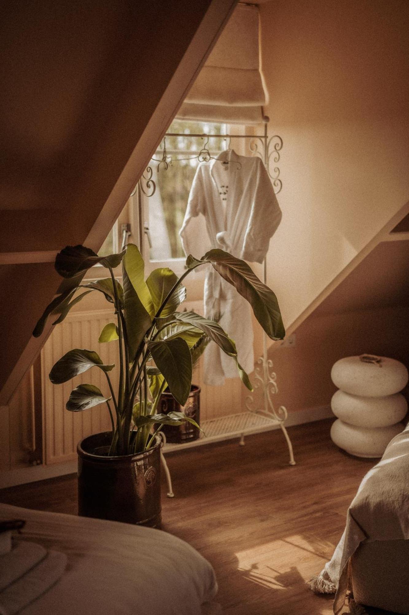 Maison Bellefleur B&B - Pension レーネスセ エクステリア 写真